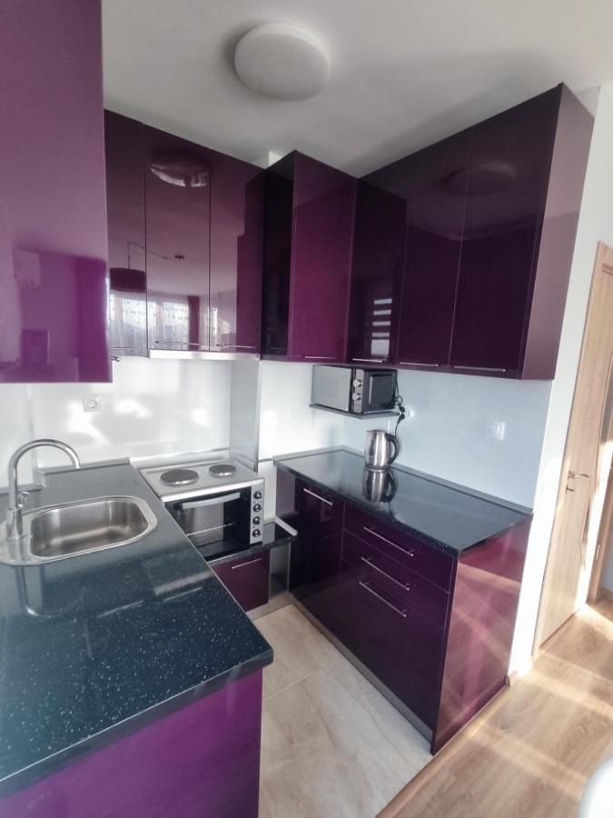 Mountain View Apartment 索菲亞 外观 照片